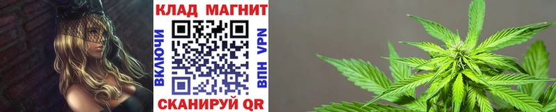 Где можно купить наркотики Сегежа Каннабис  OMG ONION  КОКАИН  ГАШИШ  Меф мяу мяу 