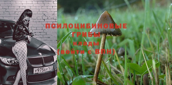 кокаин Ельня