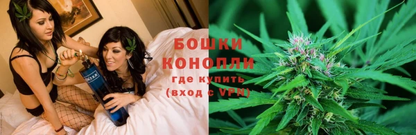 соль ск Елабуга