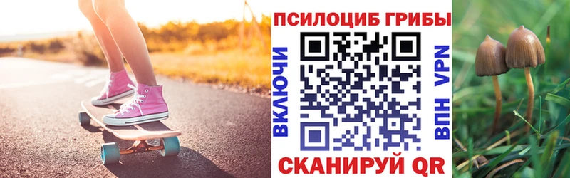 площадка как зайти  blacksprut вход  Сегежа  Галлюциногенные грибы ЛСД 