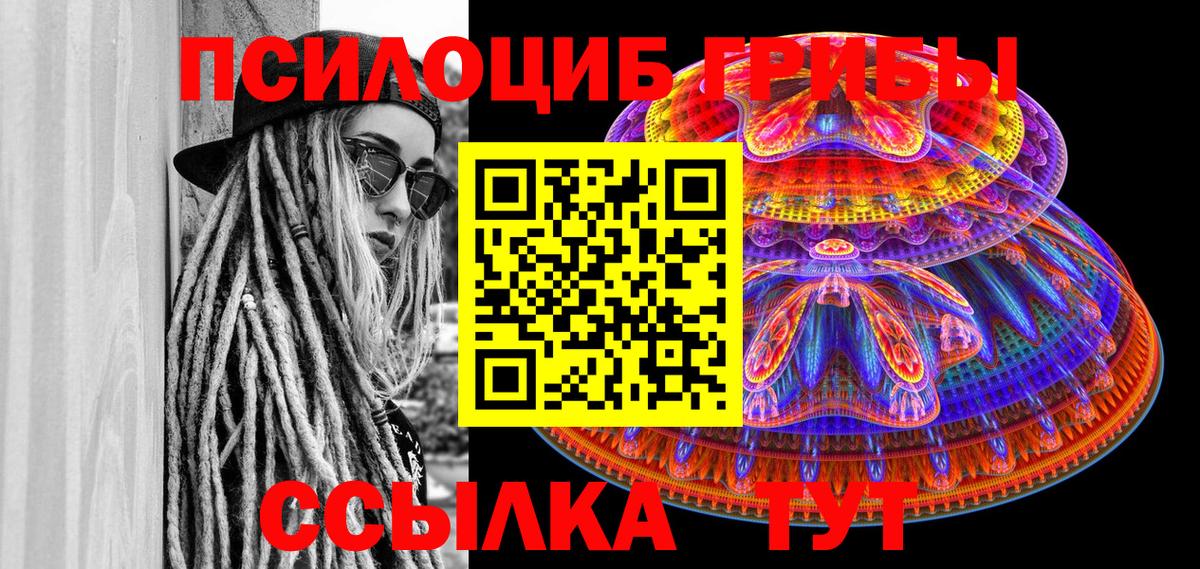 Галлюциногенные грибы Psilocybe  что такое   Сегежа  Вход с VPN  Галлюциногенные грибы Psilocybe 