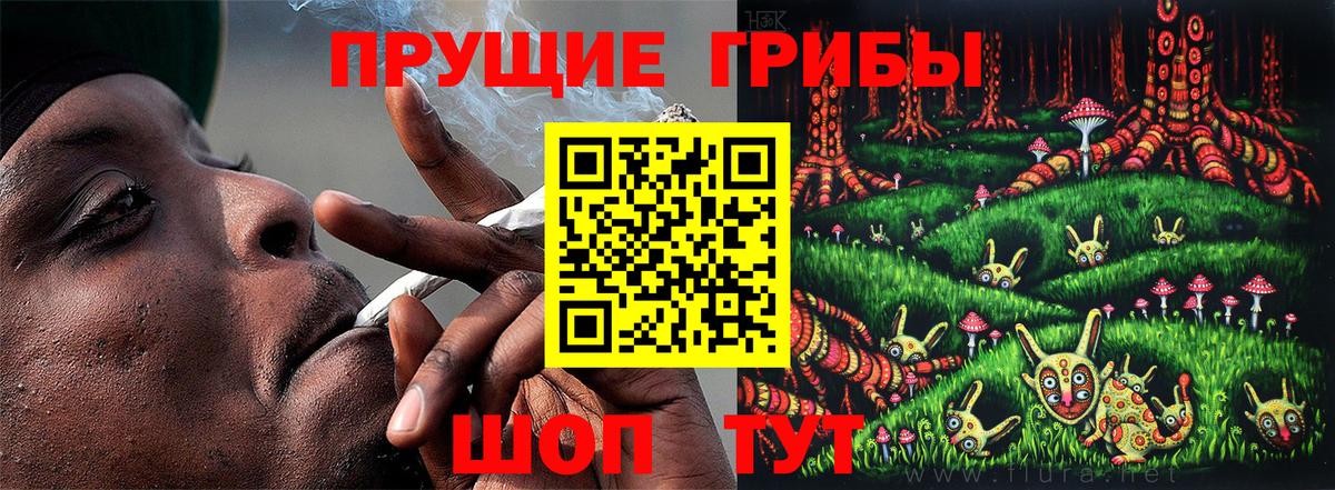 Галлюциногенные грибы ЛСД Сегежа